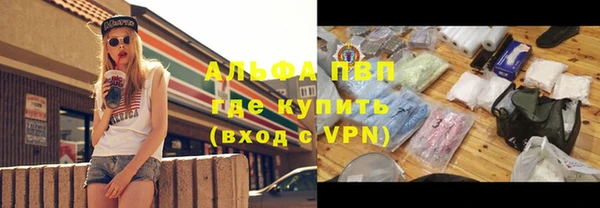 дмт Богородск