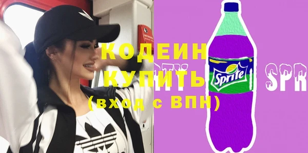 индика Богданович