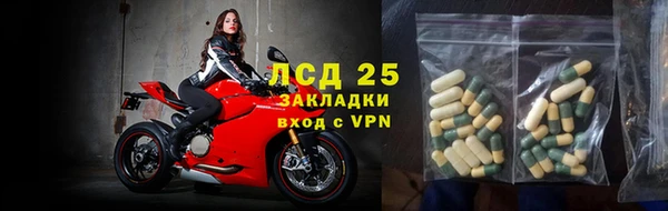 индика Богданович