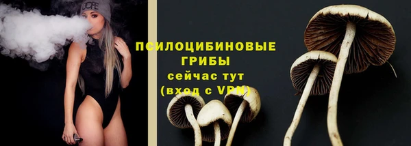 COCAINE Богородицк