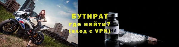 индика Богданович