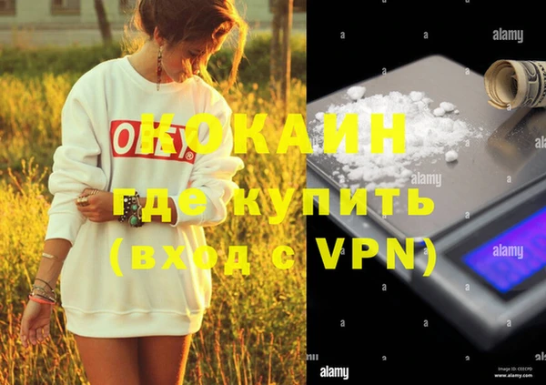 индика Богданович