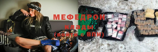 индика Богданович