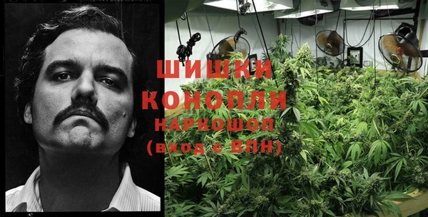 COCAINE Богородицк