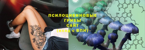 стаф Осташков