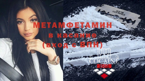 индика Богданович