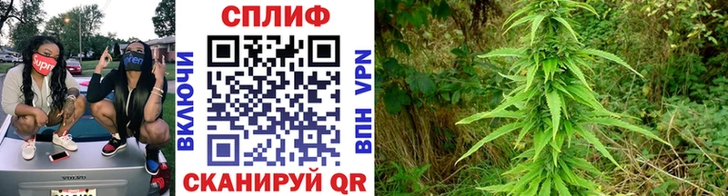 mega как войти  купить наркоту  Дятьково  Канабис VHQ 